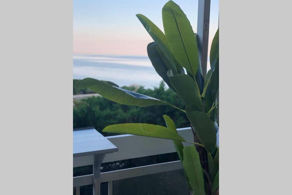 Charmant Studio Avec Terrasse Vue Mer A 50 M Sainte-Maxime Exteriér fotografie